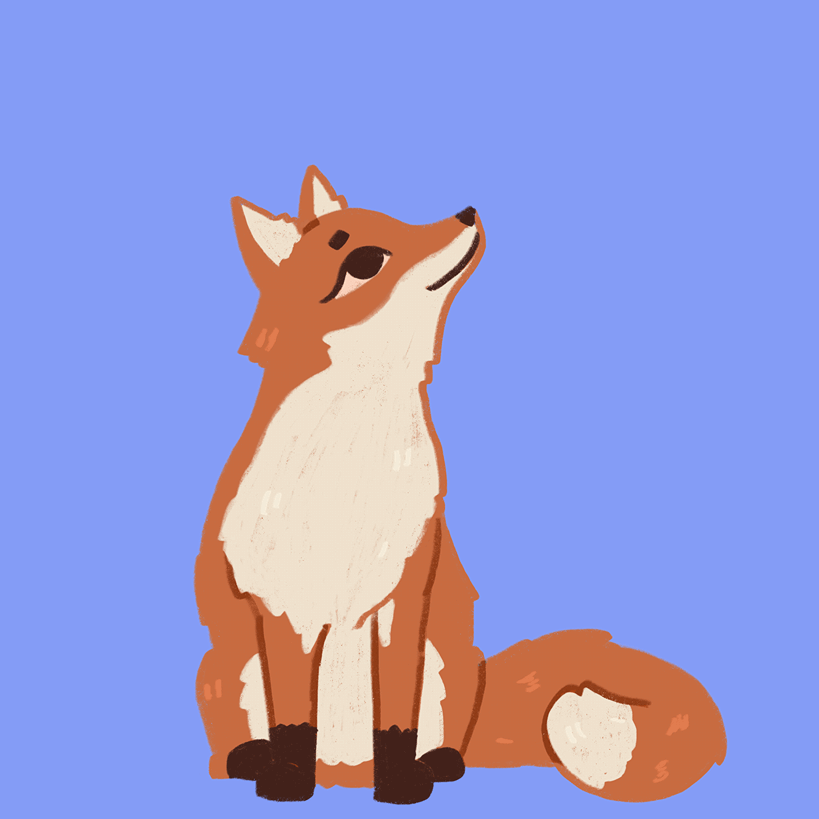 Fully animated For RiderKnight